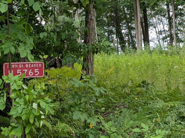 Land for sale in Pound, Wisconsin