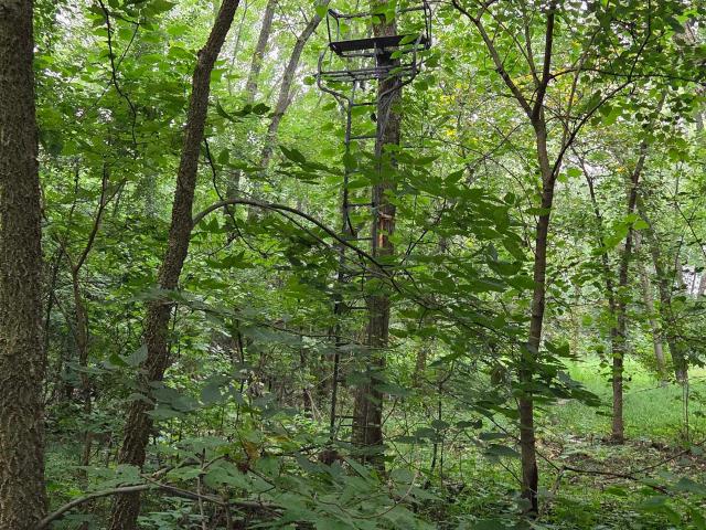 Land for sale in Town of Caledonia, Columbia County