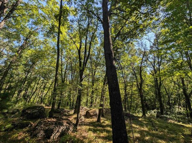 Land for sale in Ogdensburg, Wisconsin