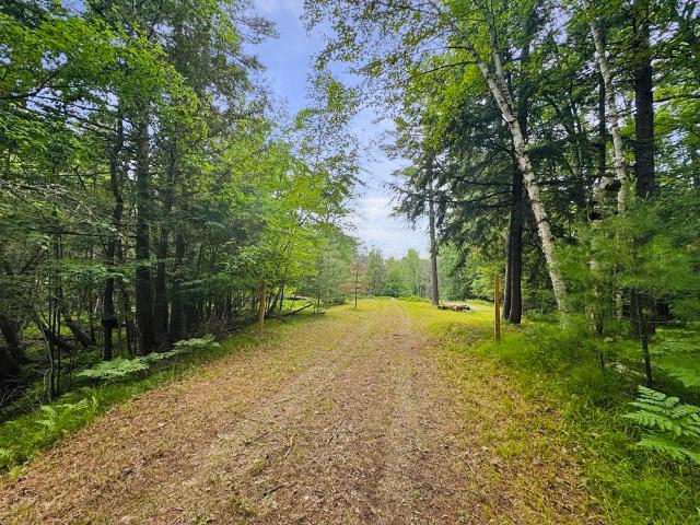 Land for sale in Michigan