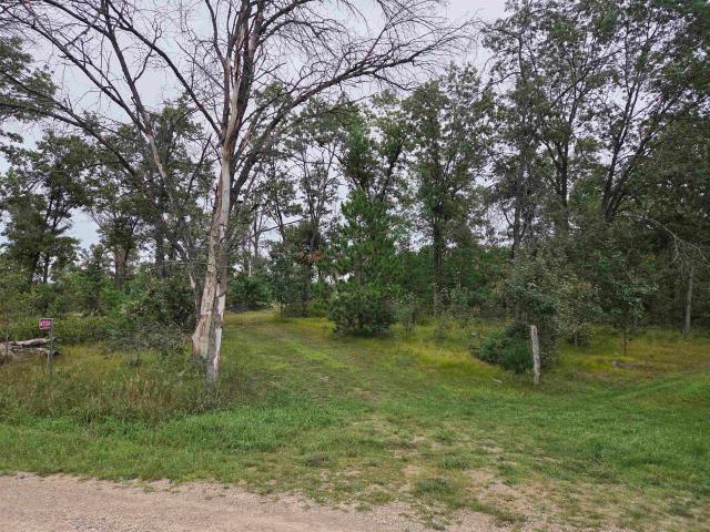 Land for sale in Town of Stephenson, Marinette County