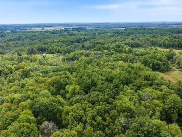 Land for sale in Neshkoro, Marquette County
