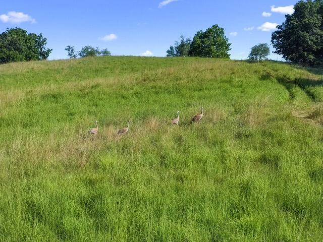 House for sale in Elkhorn, Wisconsin
