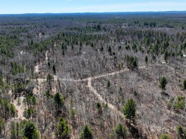 Land for sale in Juneau, Wisconsin