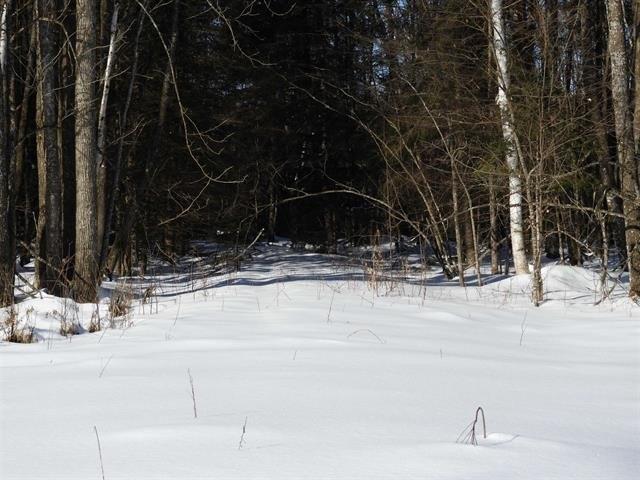 Land for sale in Phillips, Wisconsin