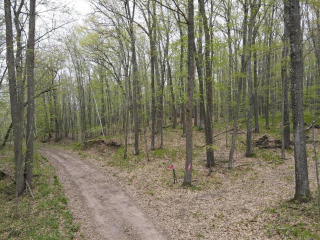 Land for sale in Trego, Wisconsin