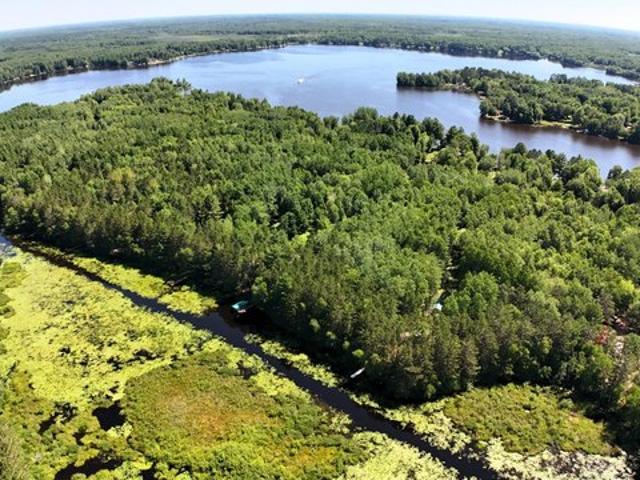 Land for sale in Phillips, Wisconsin