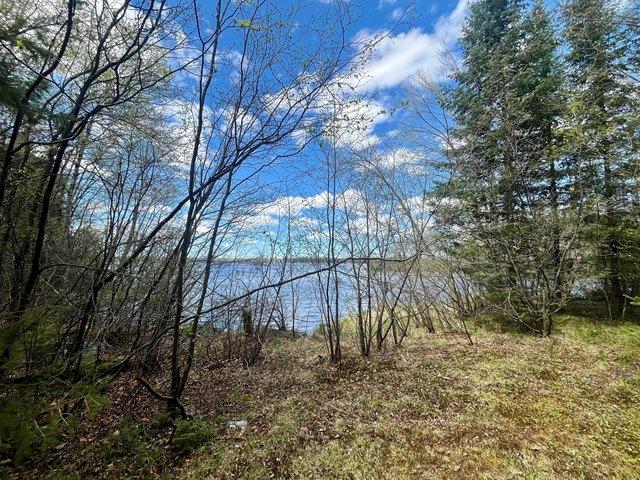 Land for sale in Phillips, Wisconsin