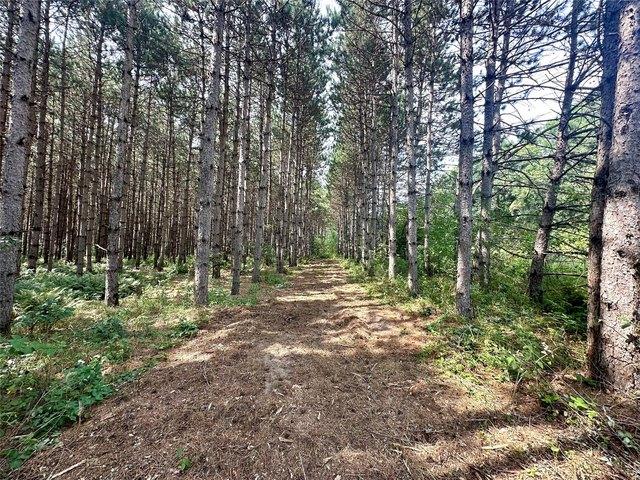 Land for sale in Dunn, Wisconsin