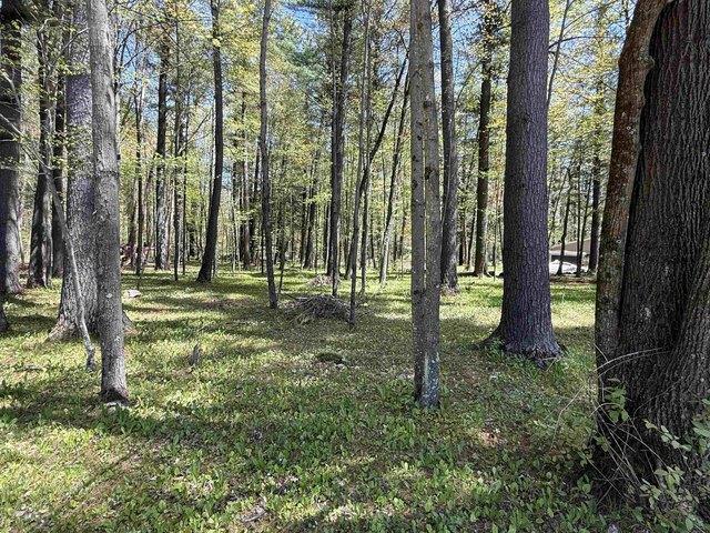 Land for sale in Keshena, Wisconsin