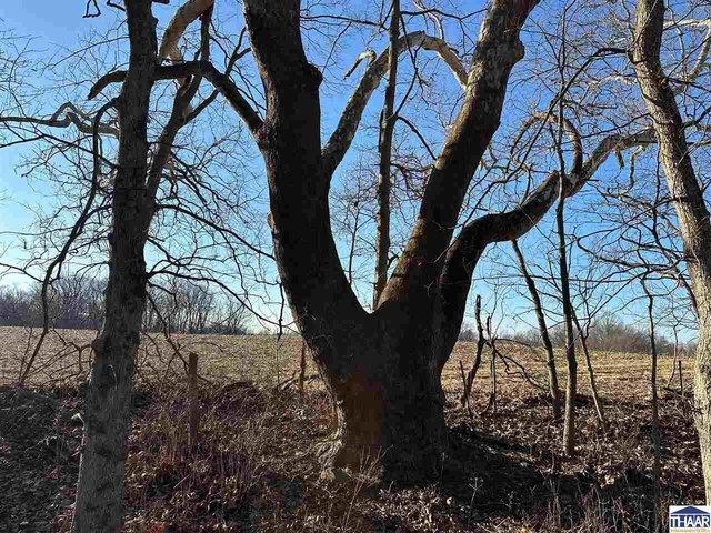 Farm for sale in Vermillion, Indiana
