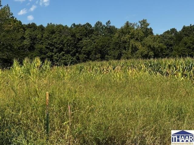 Land for sale in Vermillion, Indiana
