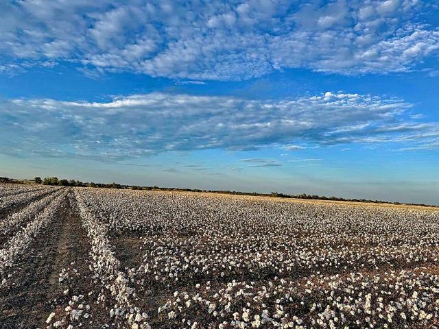 Land for sale in Erick, Oklahoma