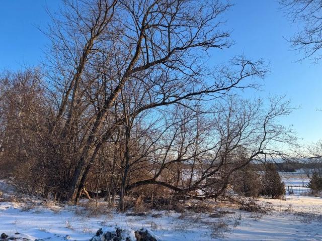 Land for sale in Sturgeon Bay, Wisconsin