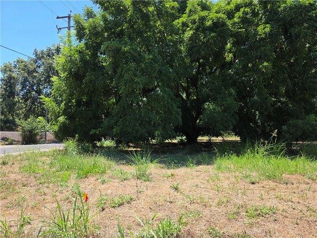 Land for sale in Tehama, California