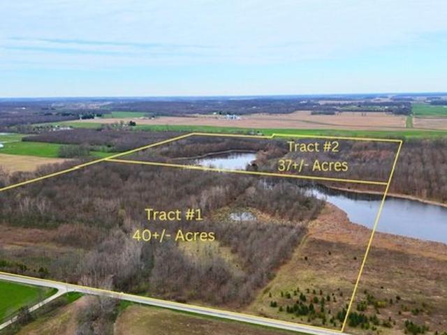 Land for sale in Bryant, Indiana
