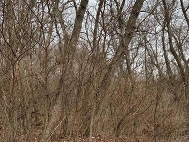 Land for sale in Lake Village, Indiana
