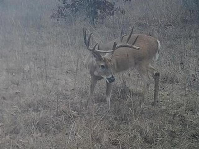Land for sale in Weleetka, Oklahoma
