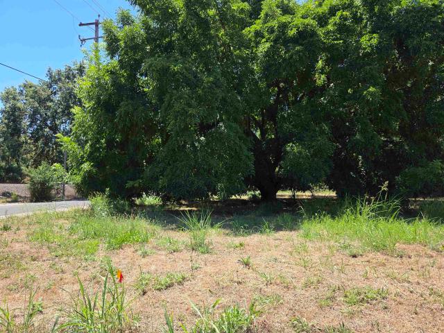 Land for sale in Tehama, California