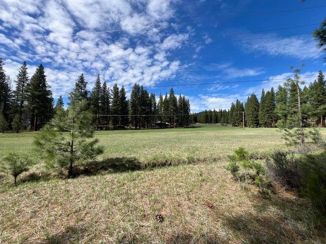 Land for sale in Portola, Plumas County