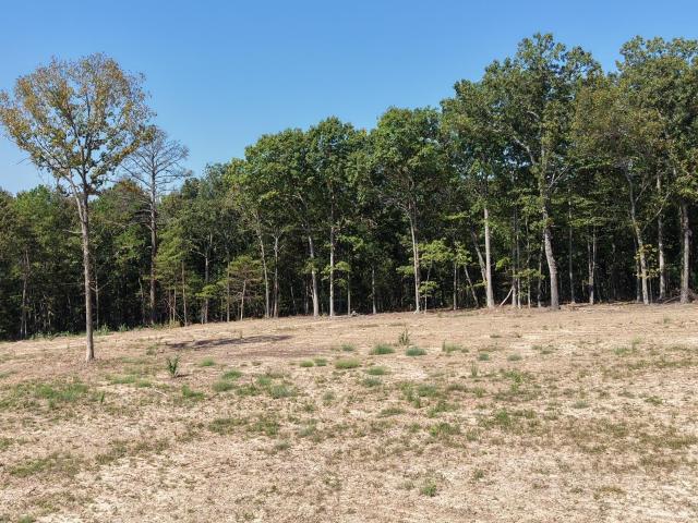Land for sale in Clinton, Van Buren County
