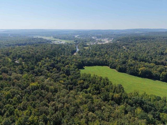 Land for sale in Clinton, Van Buren County