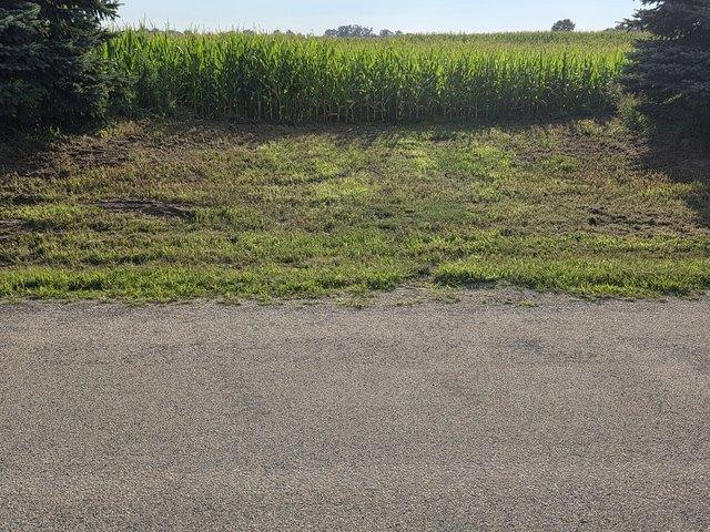 Farm for sale in Bonfield, Kankakee County