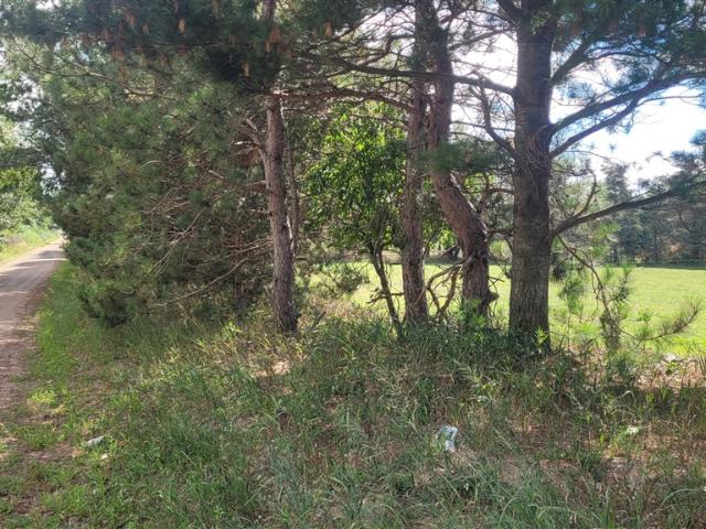 Land for sale in Michigan