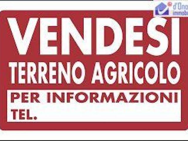 Terreno in vendita a Campodipietra, Molise