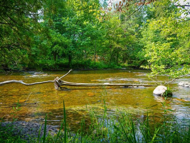 Land for sale in Michigan