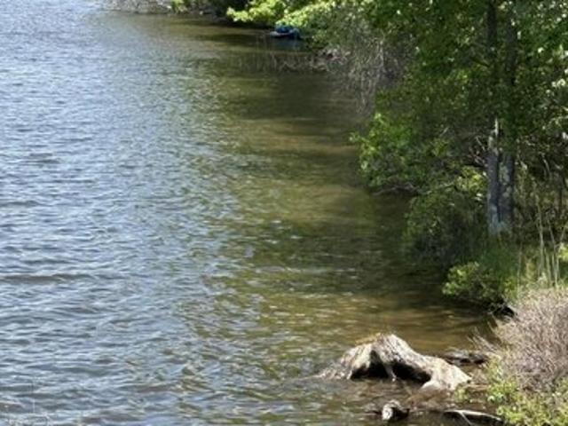 Land for sale in Pocono Lake, Tobyhanna Township