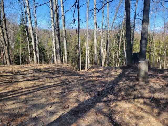 Land for sale in Harrison, Michigan