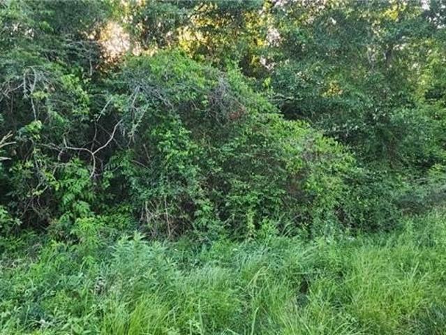 Land for sale in Slidell, Louisiana