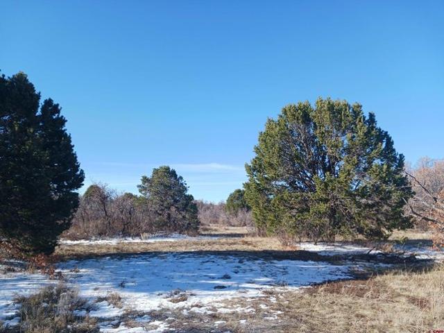 Land for sale in Norwood, Colorado