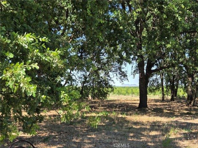 Land for sale in Tehama, California
