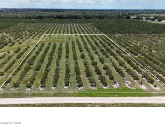 Land for sale in Wauchula, Florida