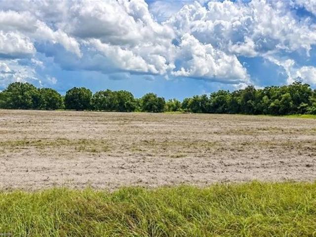 Land for sale in Wauchula, Florida