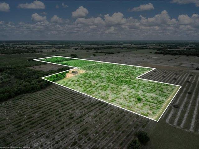 Land for sale in Wauchula, Florida