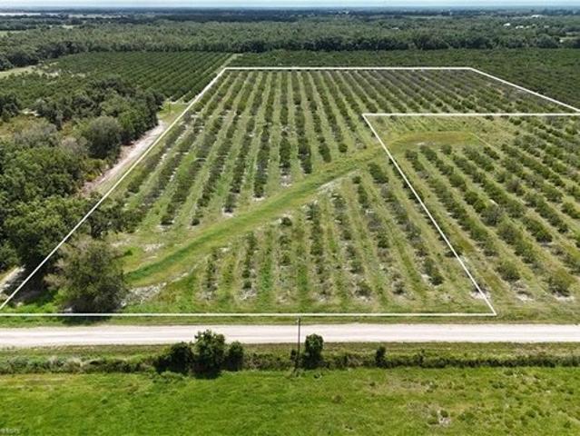 Land for sale in Wauchula, Florida