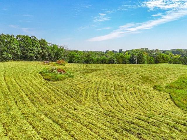 Land for sale in Sturgeon, Missouri