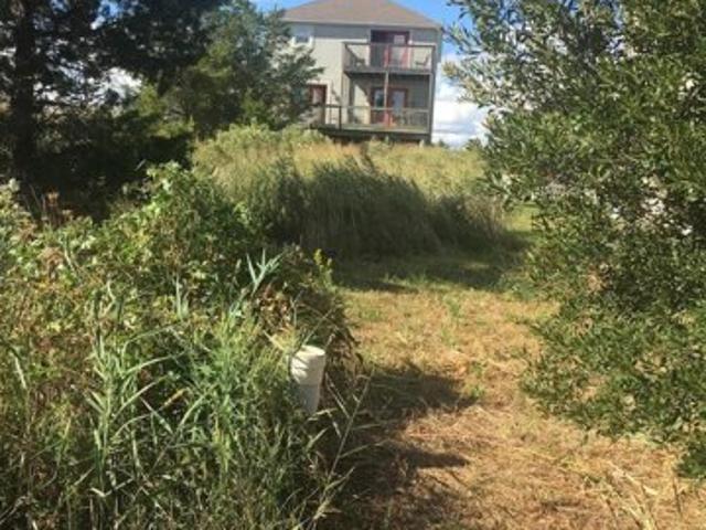 Land for sale in Frederica
