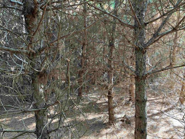 Property for sale in Plainfield, Wisconsin