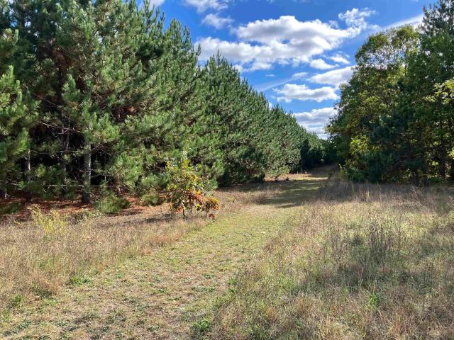 Land for sale in Plainfield, Wisconsin