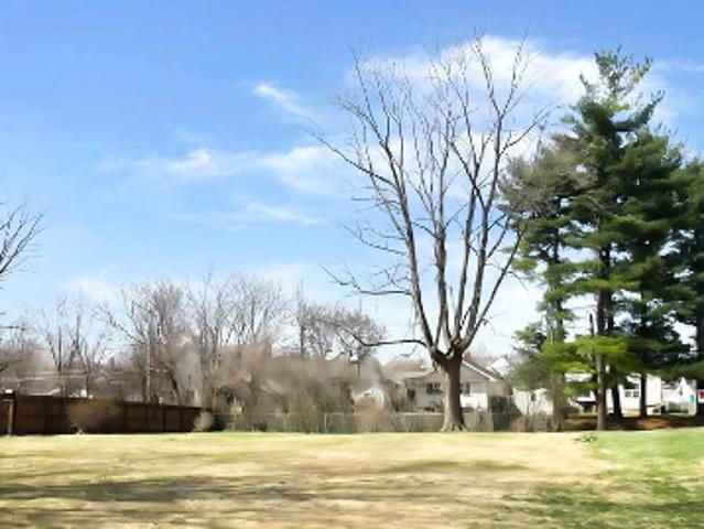 Land for sale in Vermilion, Illinois