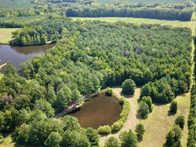 Land for sale in Pheba, Mississippi
