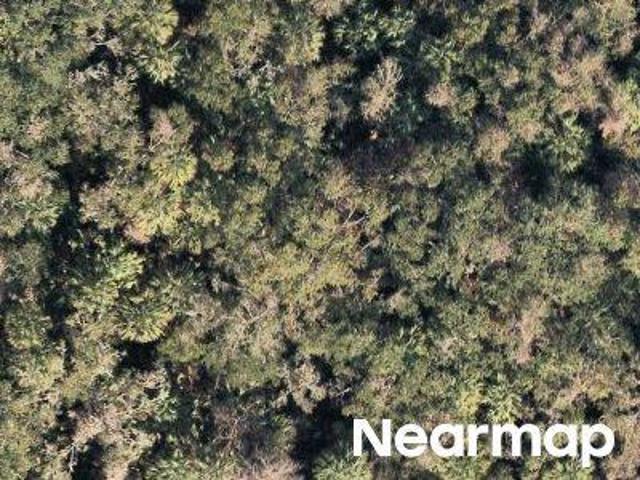 Land for sale in Crystal River, Florida
