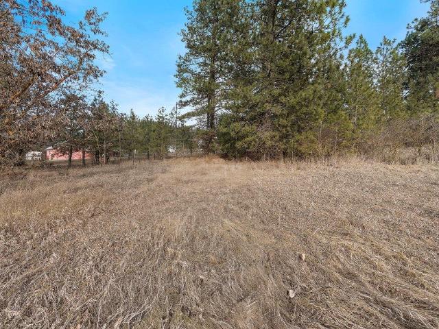 Land for sale in Colbert, Washington