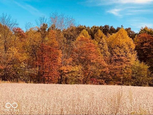 Land for sale in Gosport, Indiana