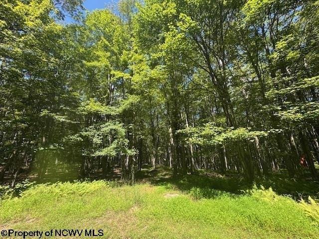 Land for sale in Bruceton Mills, West Virginia