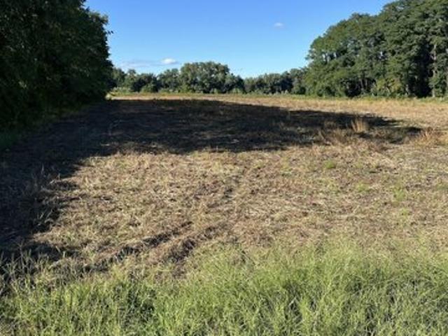 Land for sale in Hadley, Massachusetts